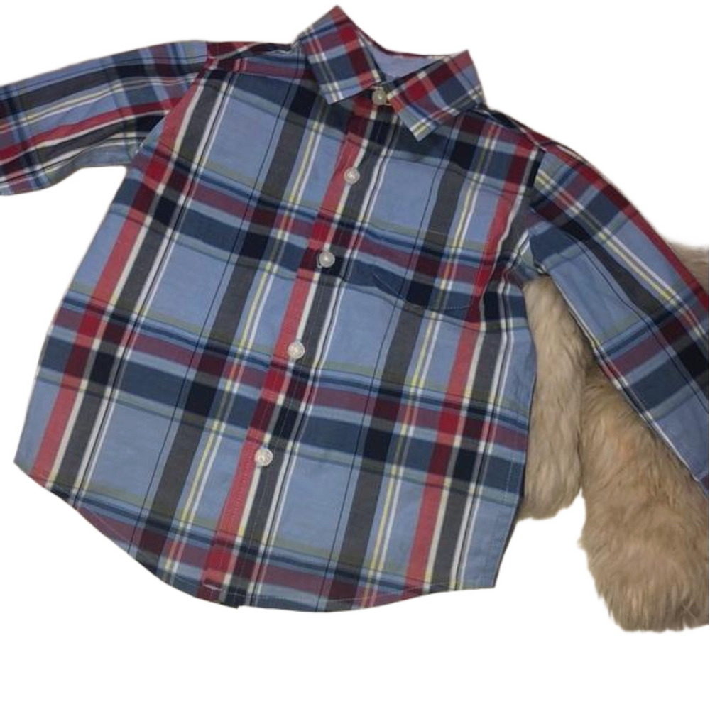 Janie and Jack gorgeous button down shirt GUC 6-12